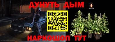 дмт Будённовск