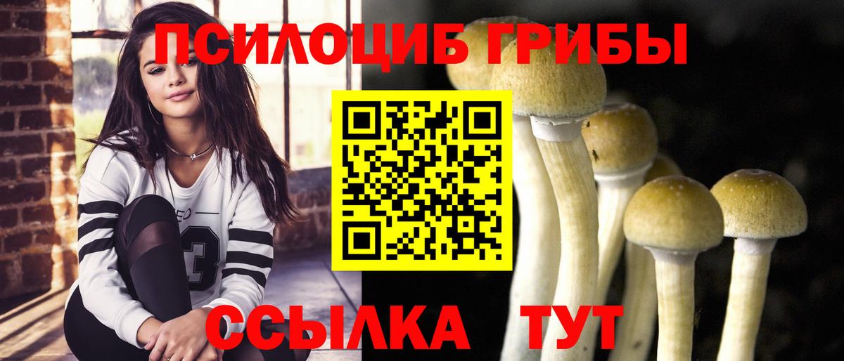 Метадон Мирный