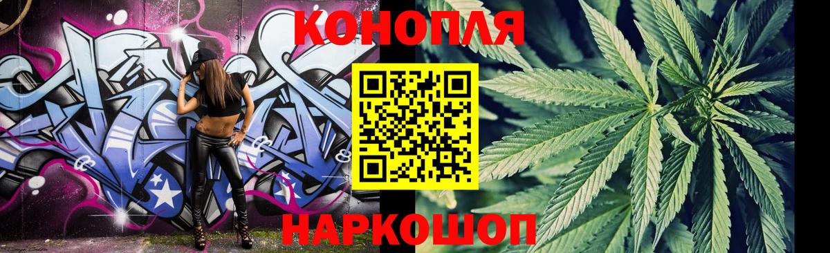 Конопля сатива Мирный